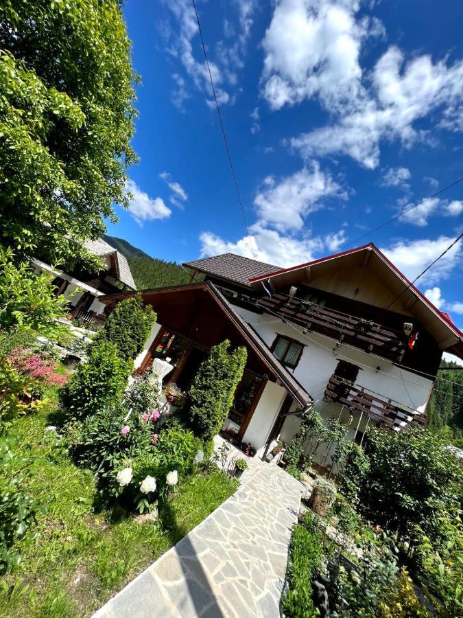 Pensiunea Bradet Brosteni Exterior photo
