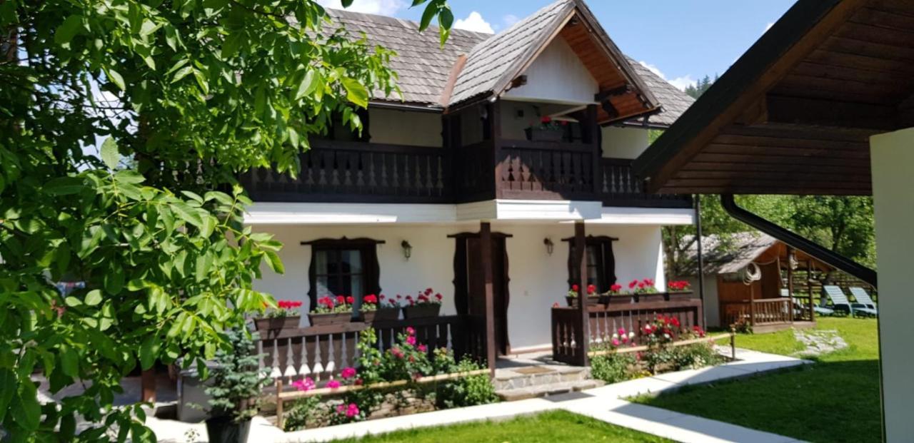 Pensiunea Bradet Brosteni Exterior photo